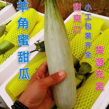 羊角蜜甜瓜产地直销价格低产地看过货代发全国