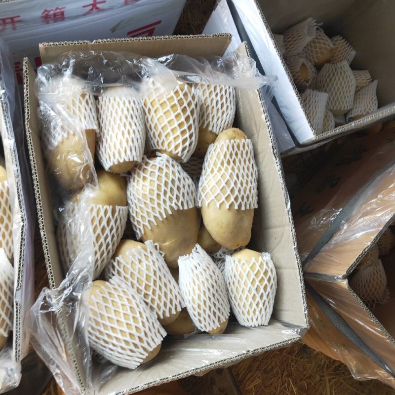 新疆拜城土豆产地直发、云南山东土豆代卖代销