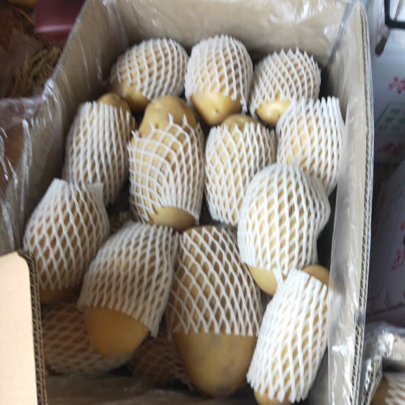 新疆拜城土豆产地直发、云南山东土豆代卖代销