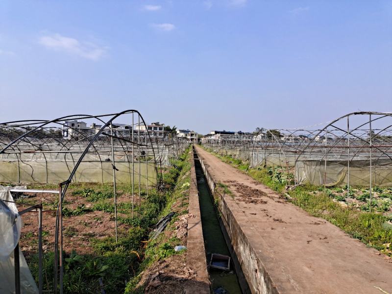150亩蔬菜基地出租