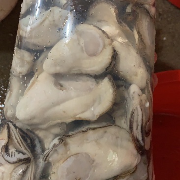 批发零售现开生蚝肉。