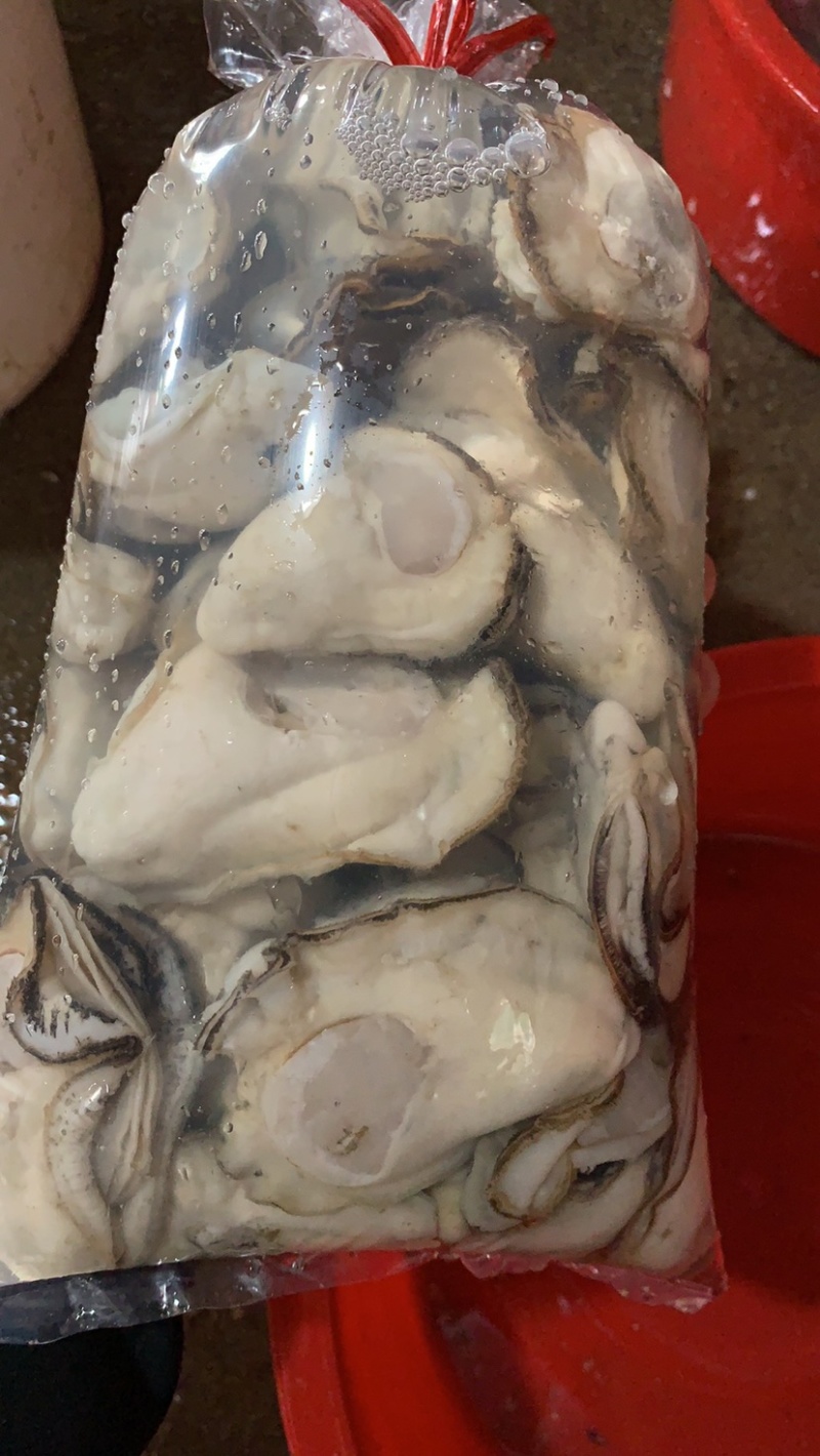 批发零售现开生蚝肉。