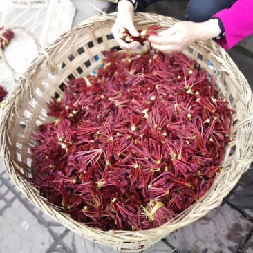优质红油香椿芽！货源充足！品质保证