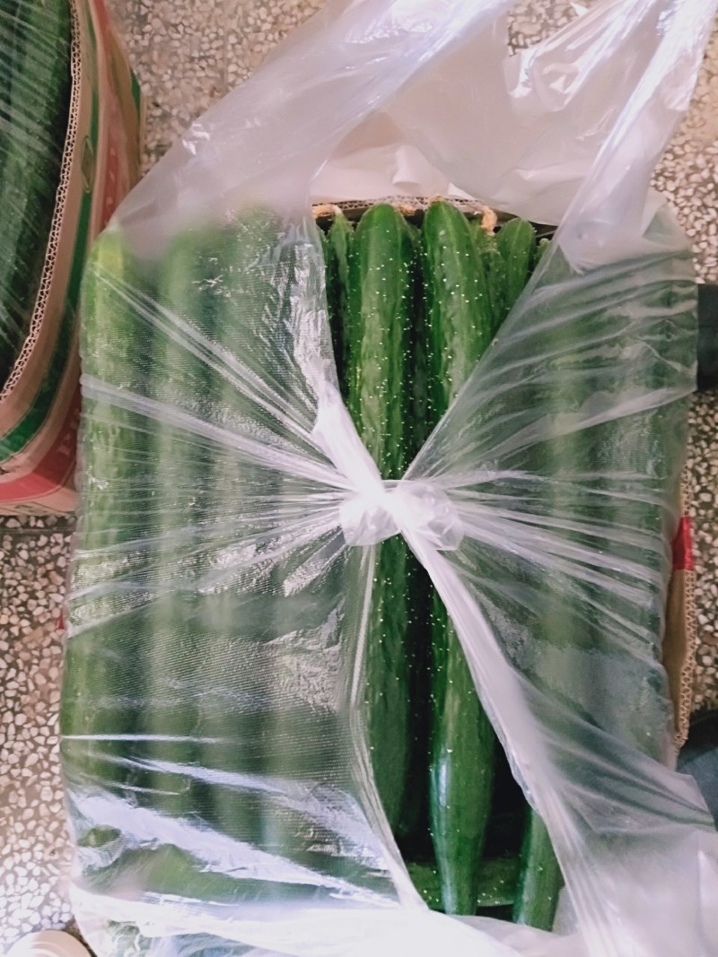黄瓜大量热卖中，中农106，有要的老板请联系我