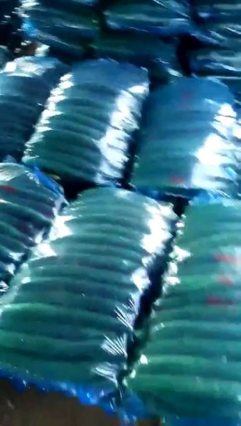 黄瓜大量热卖中，中农106，有要的老板请联系我