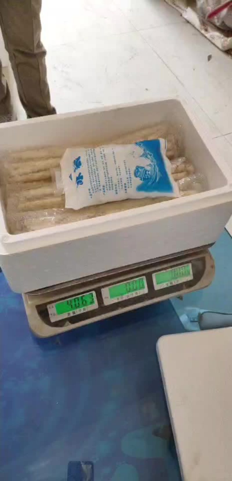 绿芦笋白芦笋紫芦笋保质保量量大从优