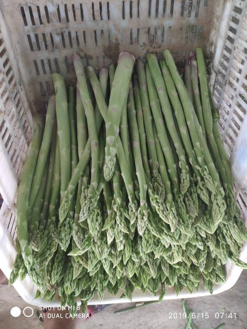 绿芦笋白芦笋紫芦笋保质保量量大从优