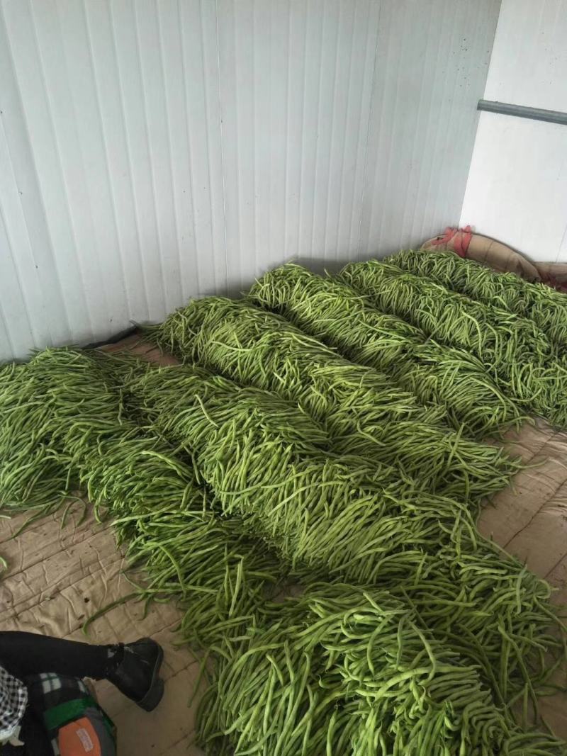 豆王大量上市，有要的联系我