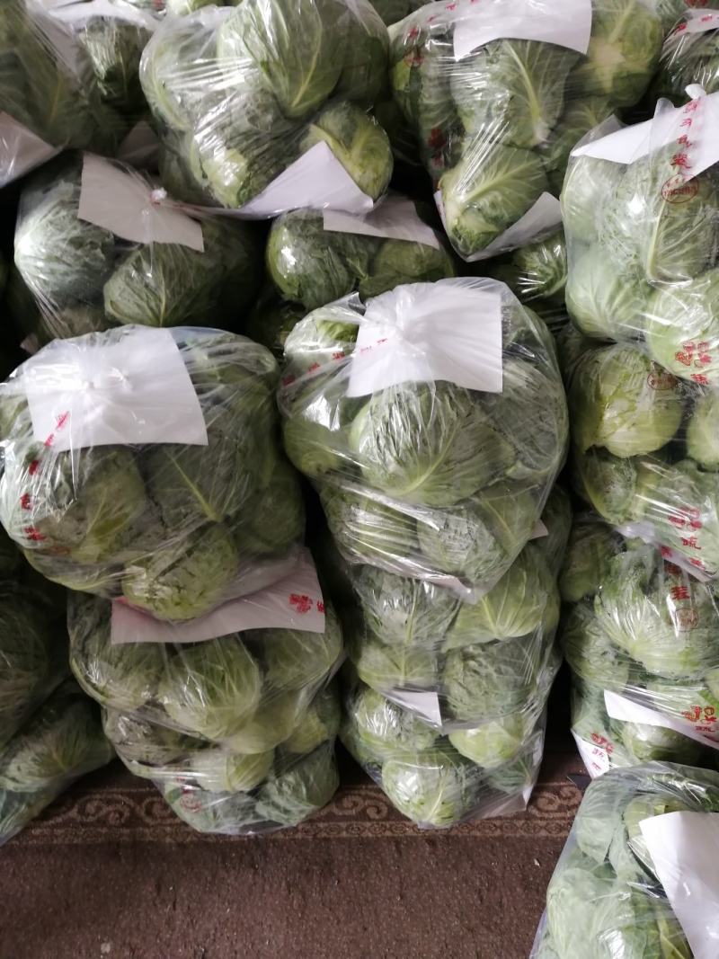 豆王大量上市，有要的联系我