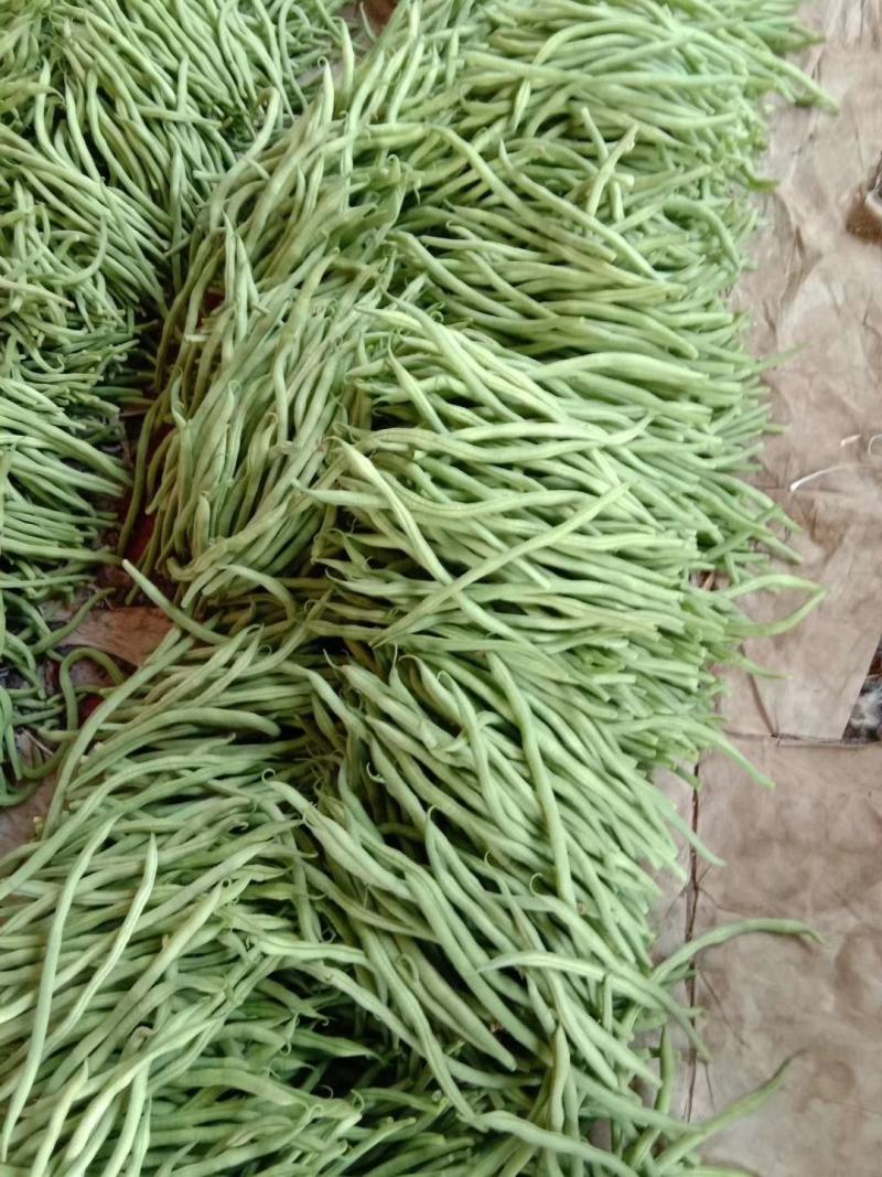 豆王大量上市，有要的联系我