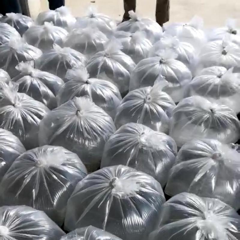 南美白对虾虾苗成活率高淡化一代二代