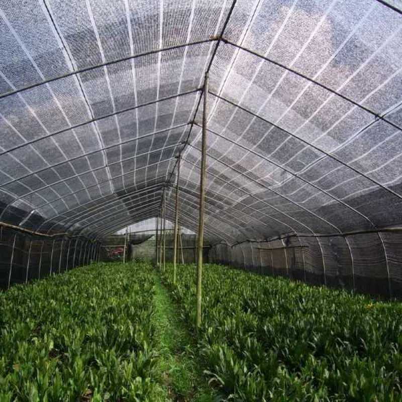 遮阳网全新料平防老化遮阳网:姜网、果蔬花卉苗木防晒网