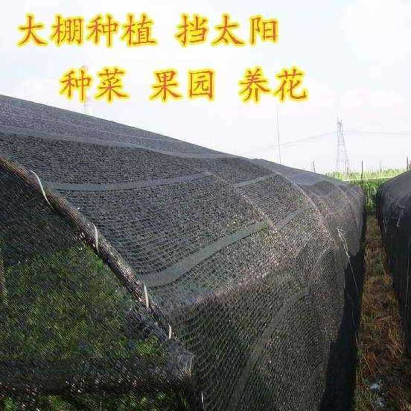 遮阳网全新料平防老化遮阳网:姜网、果蔬花卉苗木防晒网