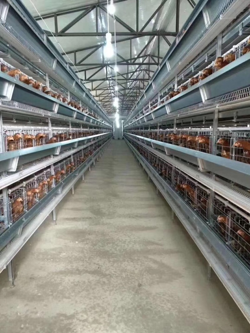 层叠式蛋鸡笼，层叠式笼具，蛋鸡笼