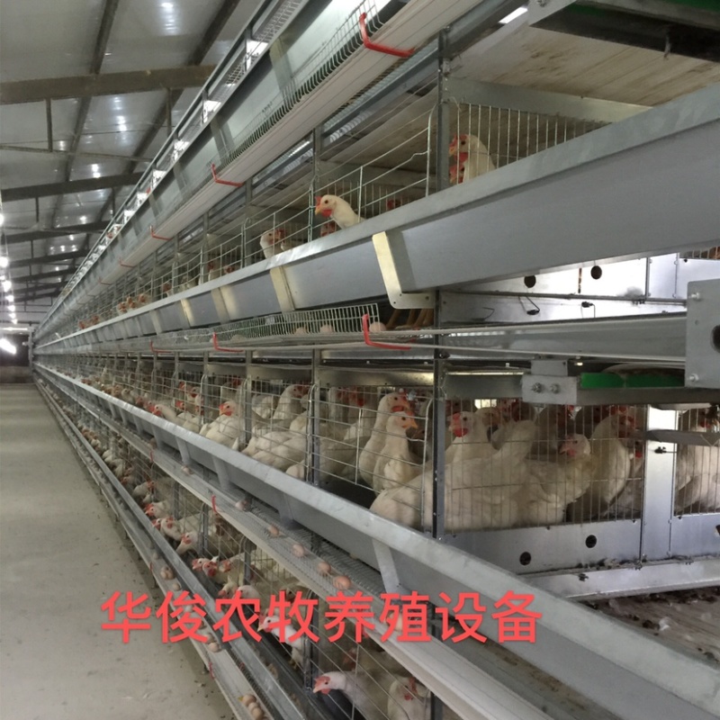 层叠式蛋鸡笼，层叠式笼具，蛋鸡笼