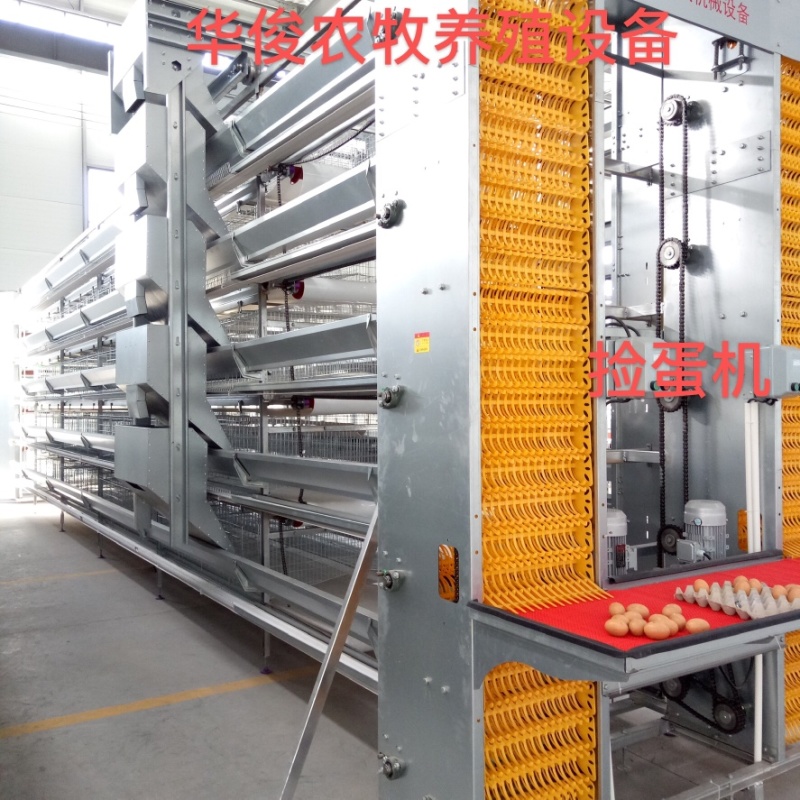 层叠式蛋鸡笼，层叠式笼具，蛋鸡笼