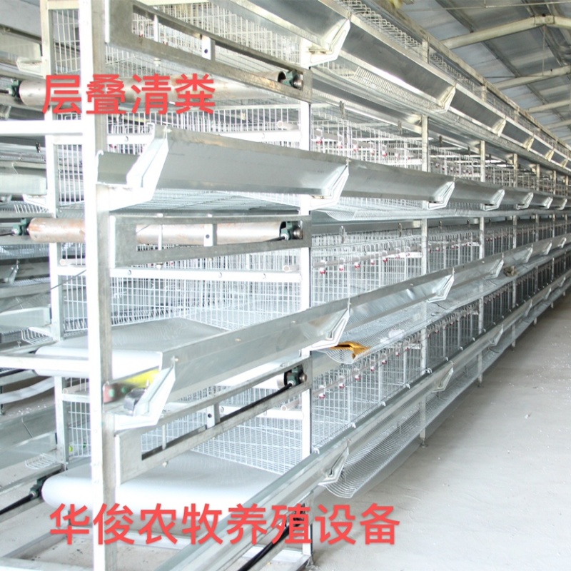 层叠式蛋鸡笼，层叠式笼具，蛋鸡笼