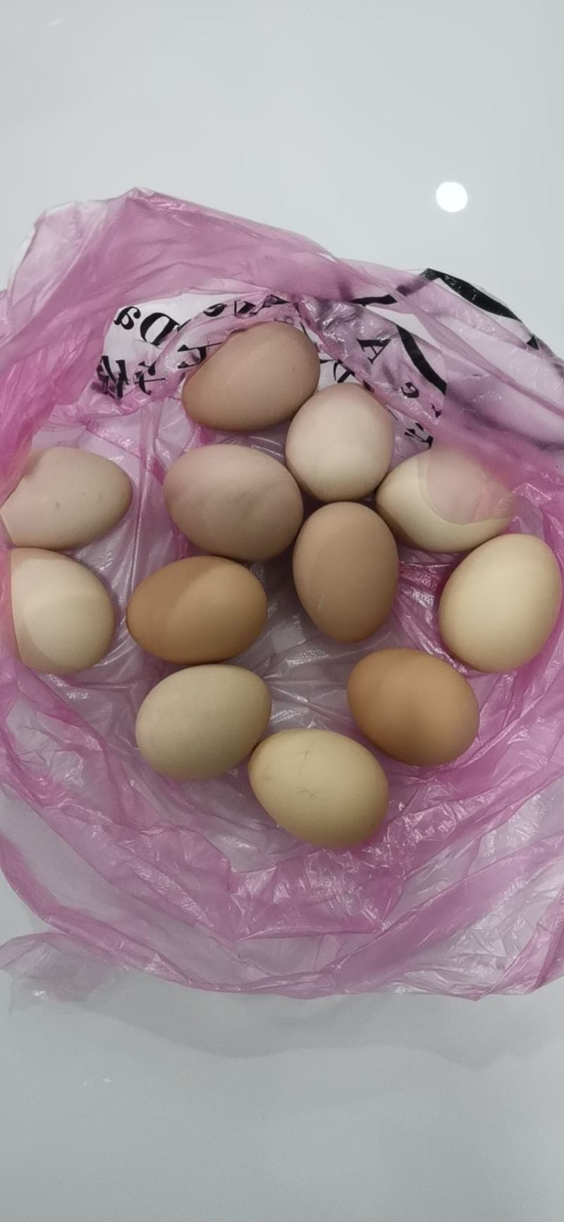 土鸡蛋粉蛋初生蛋新鲜上市走货全国量大从优价格美丽质量好