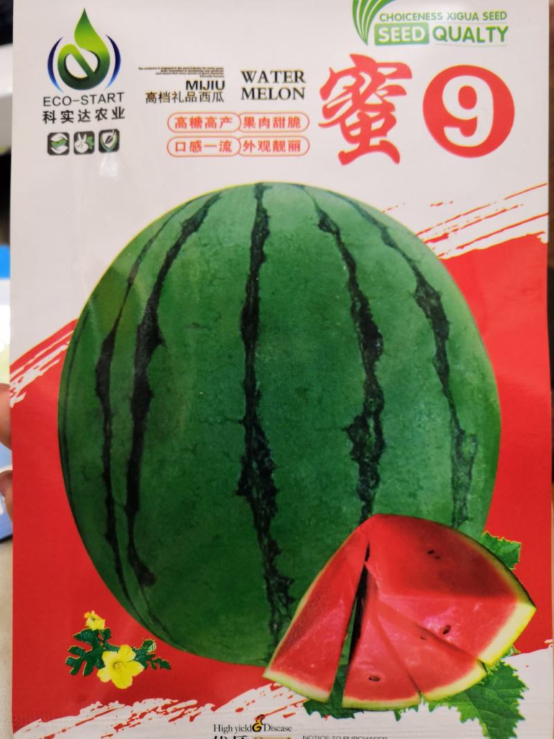 【纯正红瓤】高糖大果西瓜种子耐重茬蜜甜抗病抗裂少籽西瓜