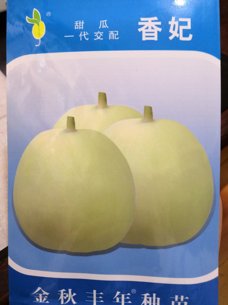 【精品甜瓜】翠蜜绿宝/白香妃甜瓜种子高产脆甜可口甜瓜种子