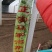 马家沟芹菜芹菜，质量嘎嘎的好