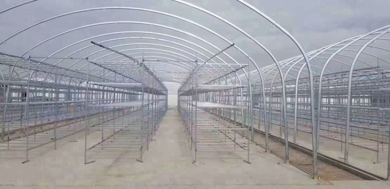 天津大棚管生产源头厂家，各种型号规格齐全