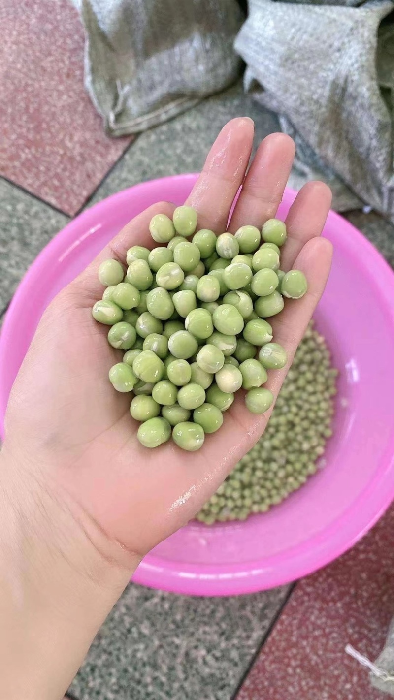 干豌豆一件100斤跑江湖摆地摊货源