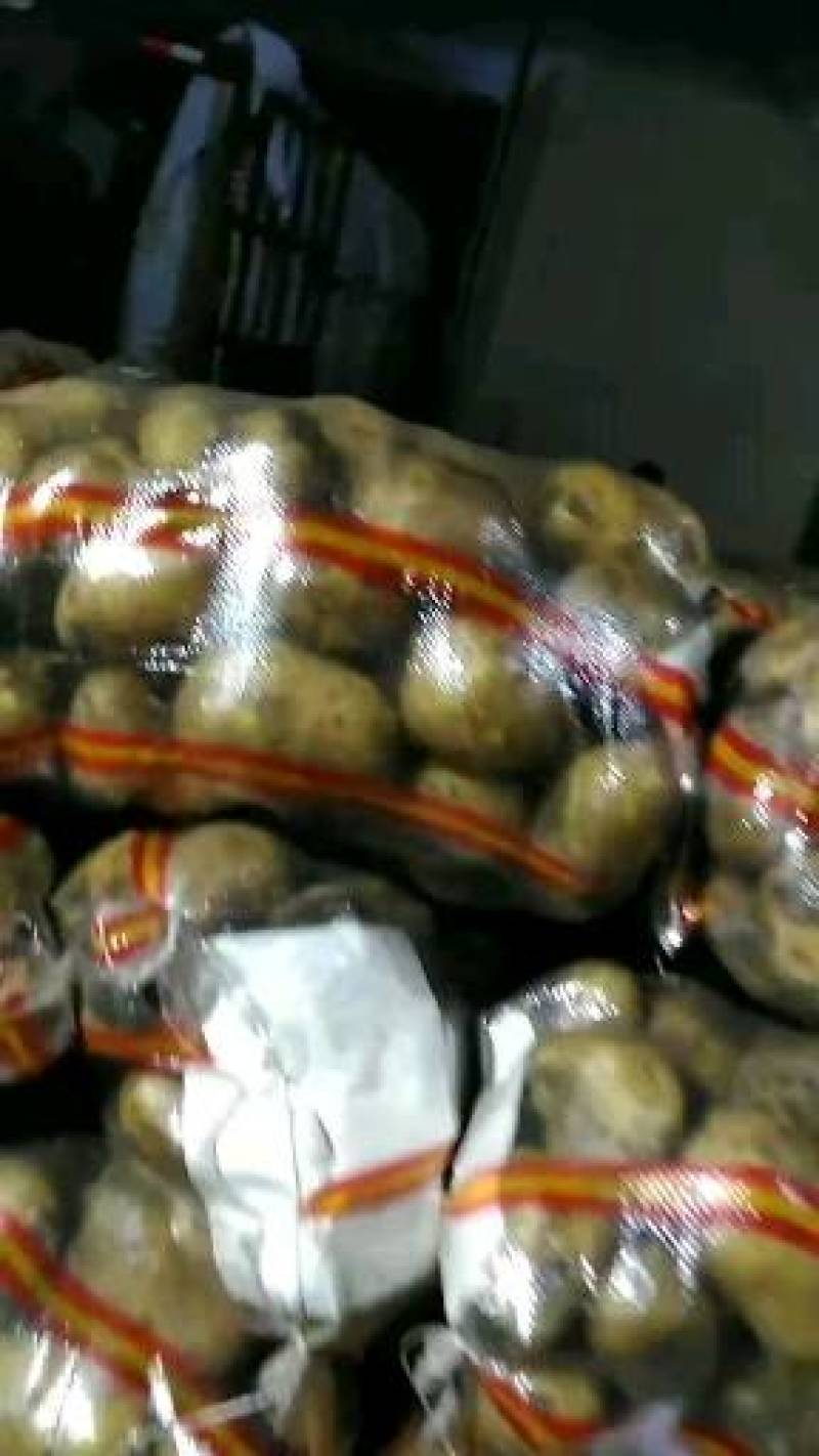 牡丹江尤金885土豆发往全国各地保证质量