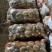 牡丹江尤金885土豆发往全国各地保证质量
