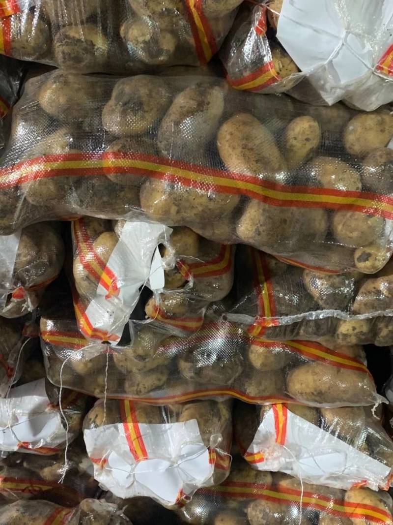 牡丹江尤金885土豆发往全国各地保证质量