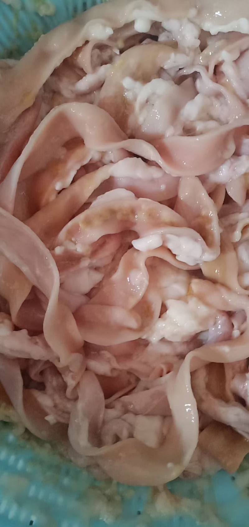 鹅肠是打火锅不可缺少的一种食物脆又香！欢迎采购
