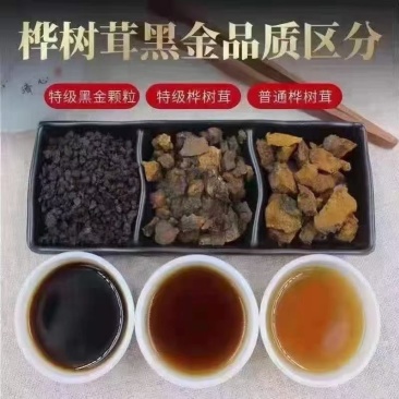 长白山野生【桦树茸黑精颗粒】是普通桦树茸效果的三倍