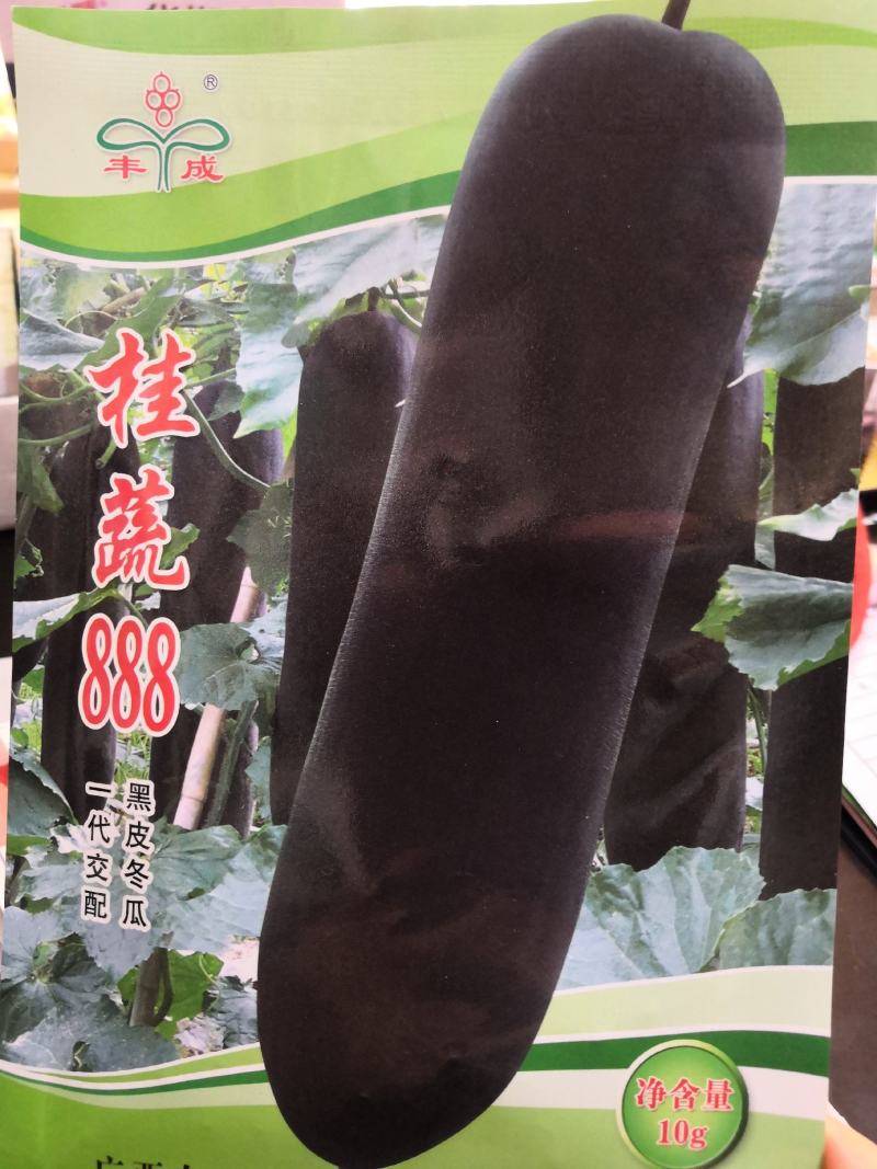 耐热黑皮冬瓜种子早熟高产厚肉抗病炮弹形冬瓜种子(杂交种)