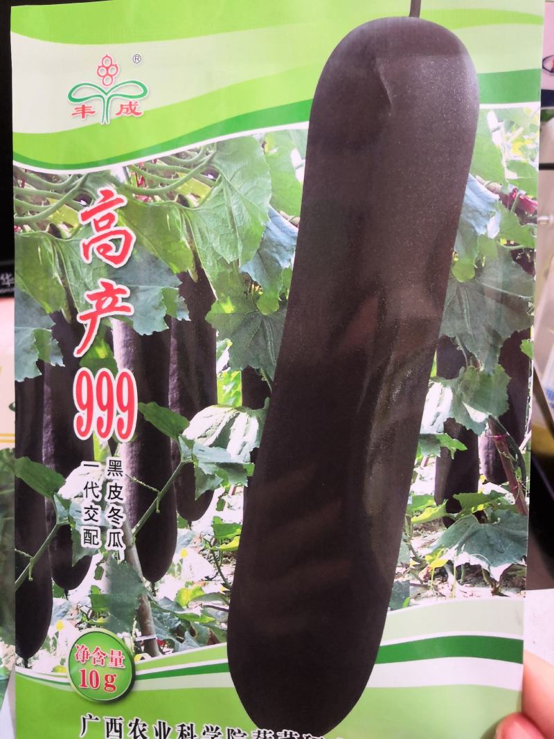 耐热黑皮冬瓜种子早熟高产厚肉抗病炮弹形冬瓜种子(杂交种)