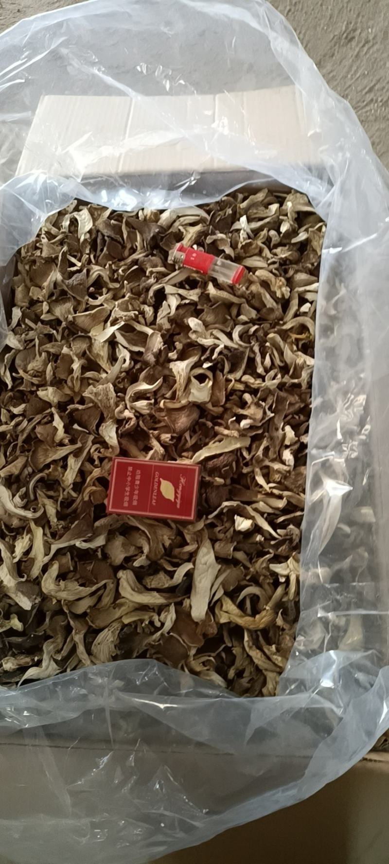 干平菇，大量现货，条，块都有