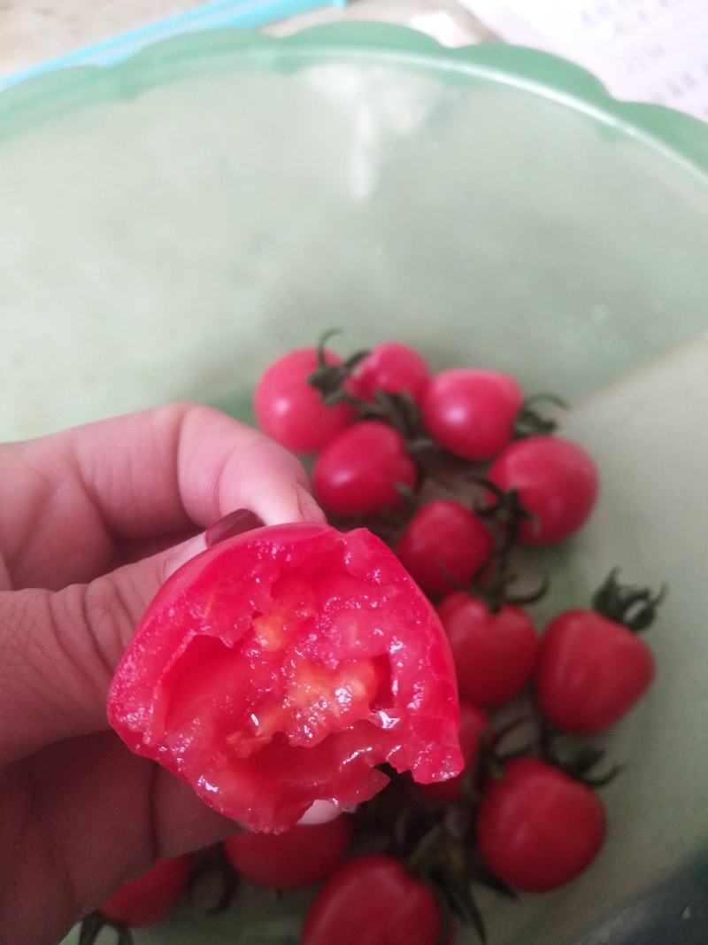 圣女果，小柿子圆粉，贝贝，佛山88，千禧等