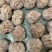 精选肚包脑肚包肉全部现货供应一手货源价格实惠品质保证