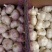 精品金乡大蒜，加工精品优质大蒜，量大从优，代发全国。