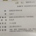 广东韶关翁源县青青苗场供应优质30Cm以上杉树苗