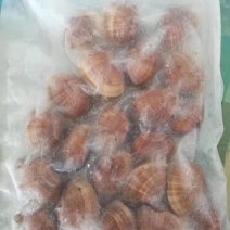 黄蚬子，文贝冻板，一板500一箱20袋，现对外出售