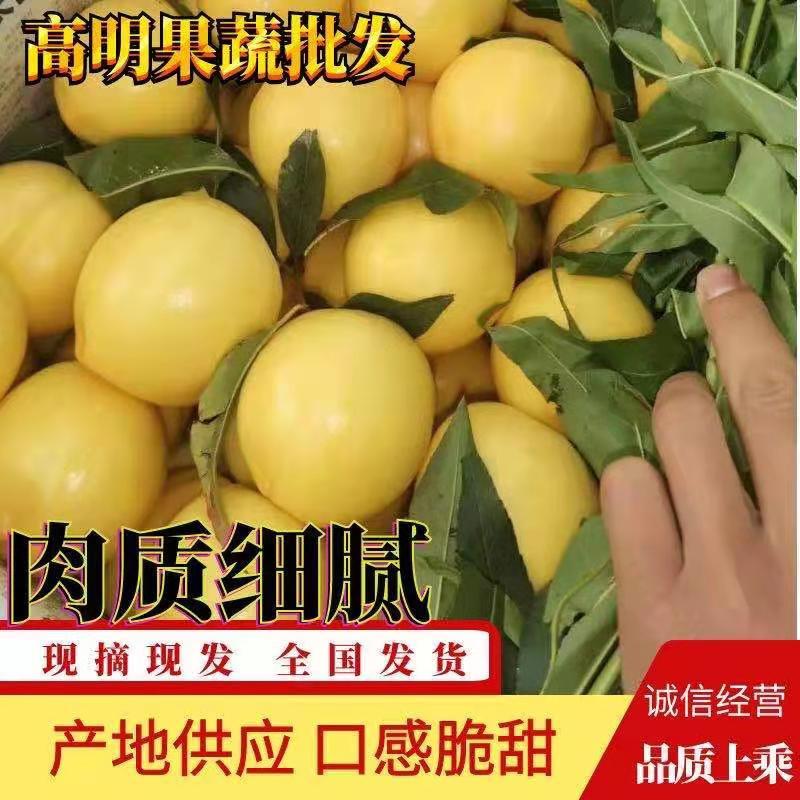 【精品】桃大棚油桃黄油桃纸袋黄油桃甜脆多规格基地直发