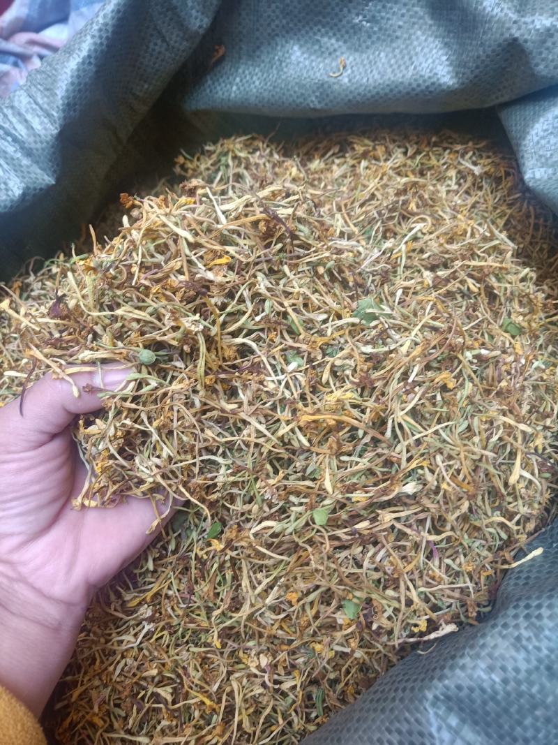 云南普洱野生金银花_清热去火