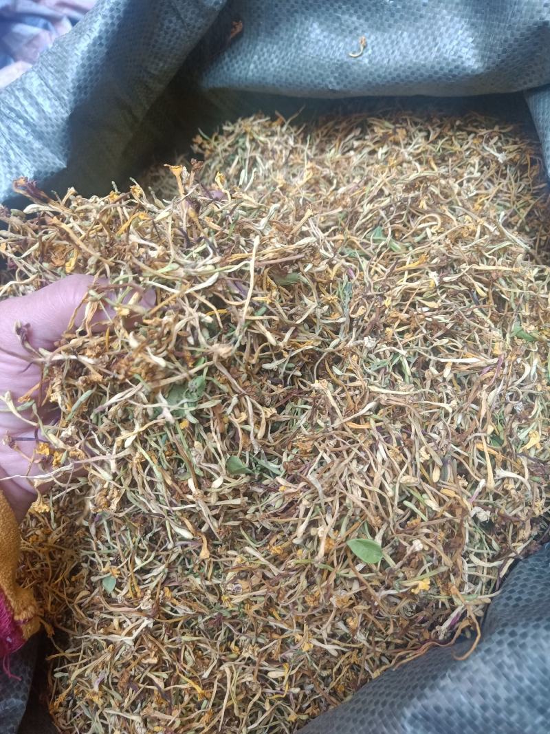 云南普洱野生金银花_清热去火