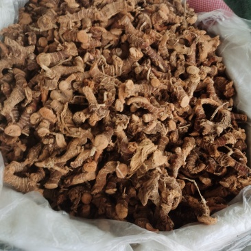徐闻产地直销良姜片良姜个供应各大批发市场超市餐饮