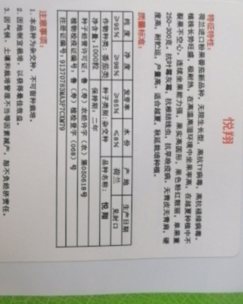 西红柿种子悦翔荷兰番茄种子耐热番茄种子抗TY抗褪绿