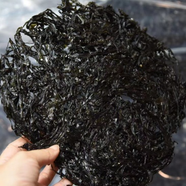头水紫菜非常爽口，清甜，无沙[机智]吃一次正宗的头水