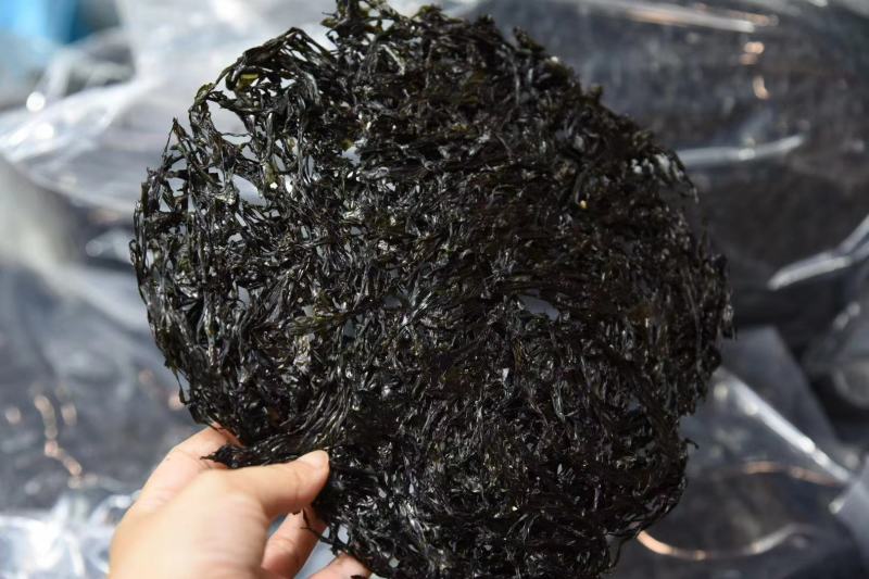 头水紫菜非常爽口，清甜，无沙[机智]吃一次正宗的头水