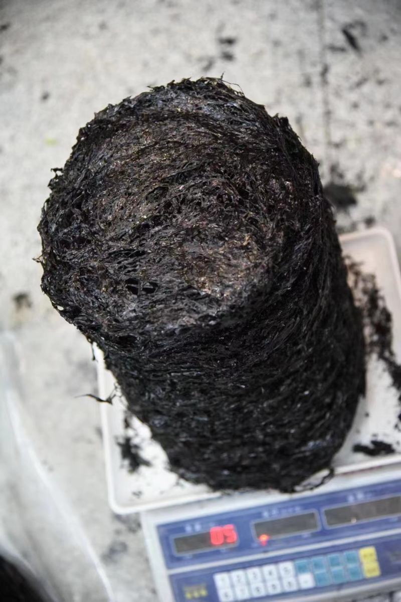 头水紫菜非常爽口，清甜，无沙[机智]吃一次正宗的头水