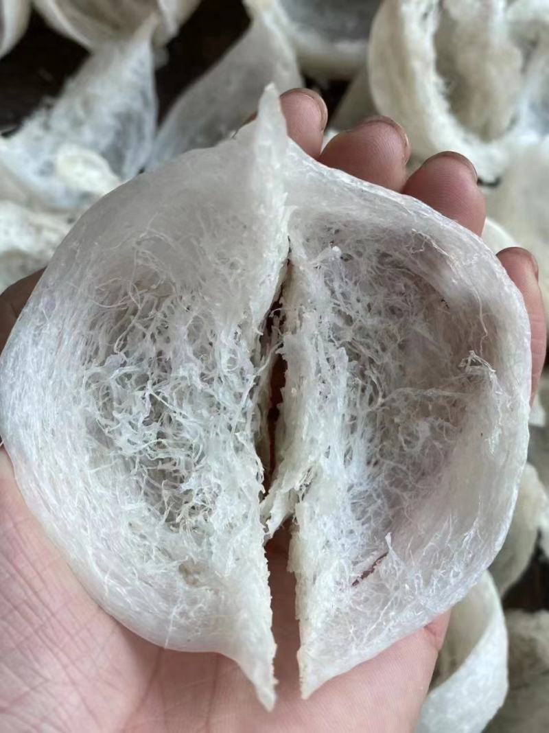燕窝干挑大盏，粗丝厚肉，盏盏囊丝饱满，泡发率高