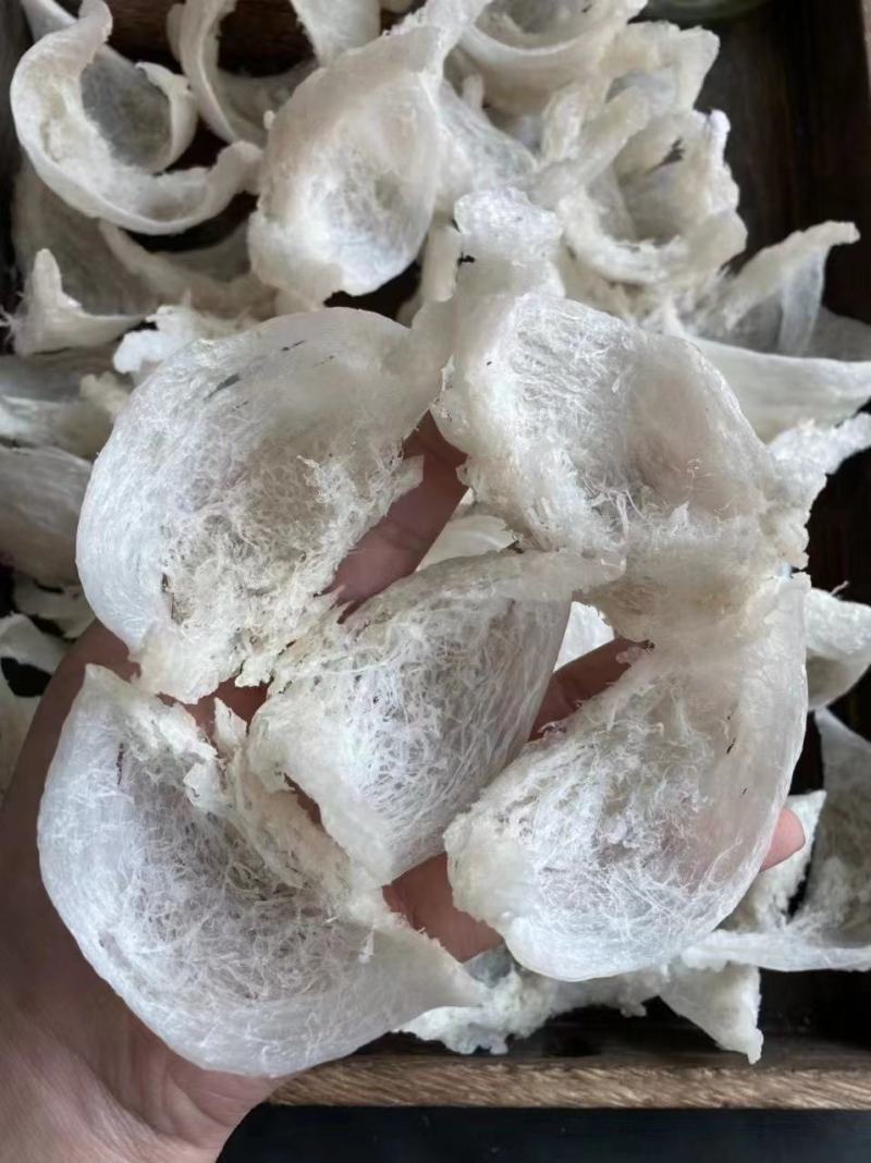 燕窝干挑大盏，粗丝厚肉，盏盏囊丝饱满，泡发率高